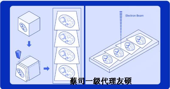 蛟河蔡司蛟河扫描电镜